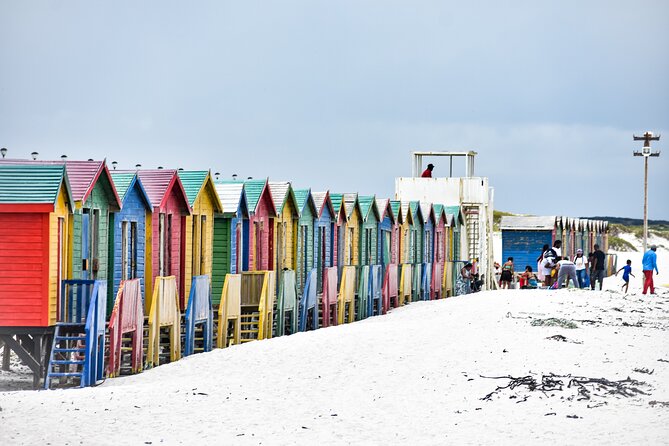 Private Tour Cape of Good Hope & Penguins Sightseeing Full day - Boulders Beach and the African penguins