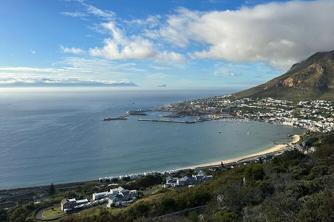 Private Tour Cape of Good Hope with Penguins - Why this Cape Peninsula day works