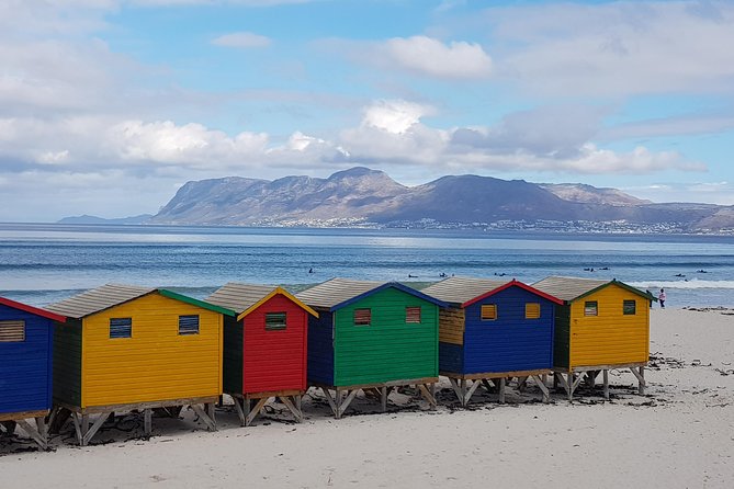 Private Tour Of Penguins, Cape Of Good Hope & Peninsula. - Why a private Cape Peninsula day makes sense