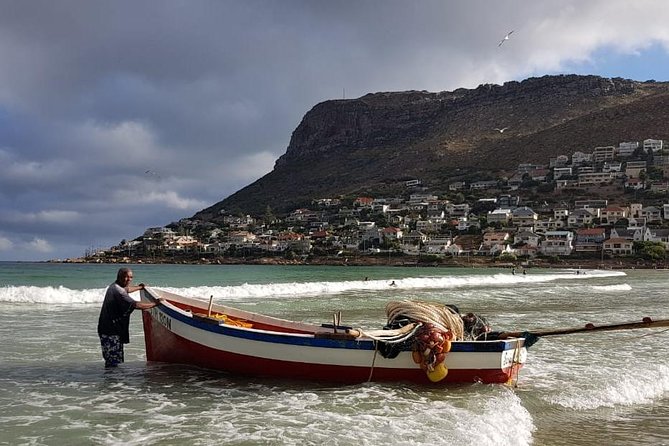 Private Tour Of Penguins, Cape Of Good Hope & Peninsula. - Cape of Good Hope and Cape Point