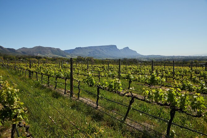 Private Tour of Top 5 Stellenbosch Wineries From Cape Town - Boschendal closes the circuit with scale and scenery