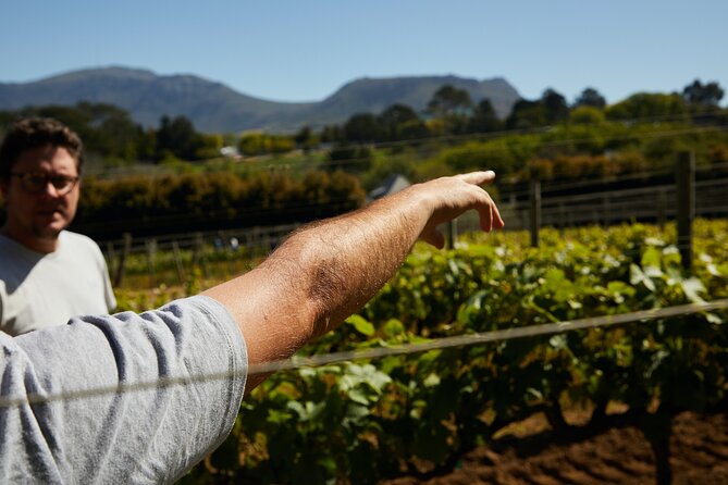 Private Tour of Top 5 Stellenbosch Wineries From Cape Town - Why private transport matters here