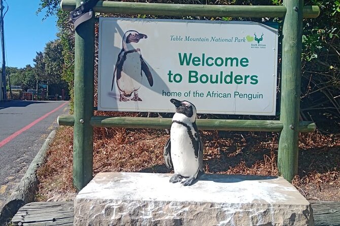 Private Tour: Table Mountain Boulder's Beach Penguin Cape Point - Hout Bay and the optional seal boat