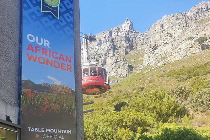 Private Tour: Table Mountain Boulder's Beach Penguin Cape Point - Muizenberg and the return to Cape Town
