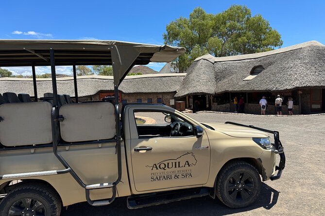 Private Tour to Aquila Game Reserve in Cape Town - see the Big5 - Key points to know before booking