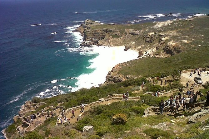 Private Tour with Wine Expert to Cape of Good Hope & Constantia Wine Region - Who should book this day