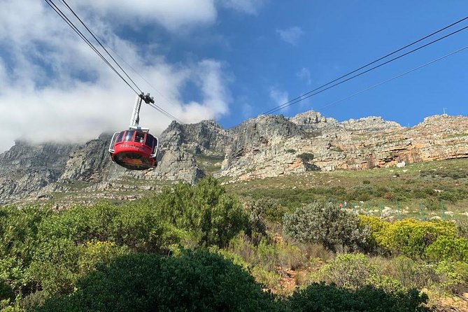 Private Tours in Cape Town - The Cape Peninsula route packs in the coast