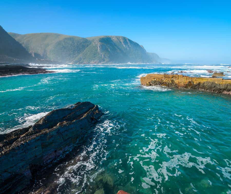 Private Tsitsikamma Tour - Full Day - Key points to know before booking