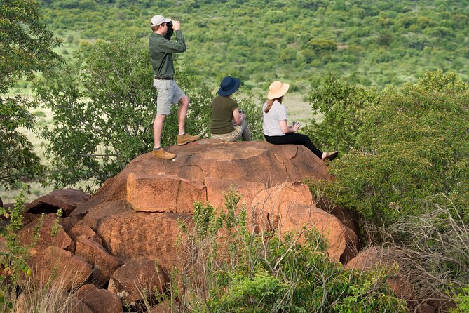 Private Ultimate Pilanesberg Safari from Johannesburg - Key points to know before booking
