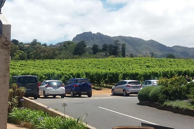 Private Visit to the Wineries Stellenbosch Franschoek from Cape Town Full Day - Bergkelder: wine production beneath the mountain