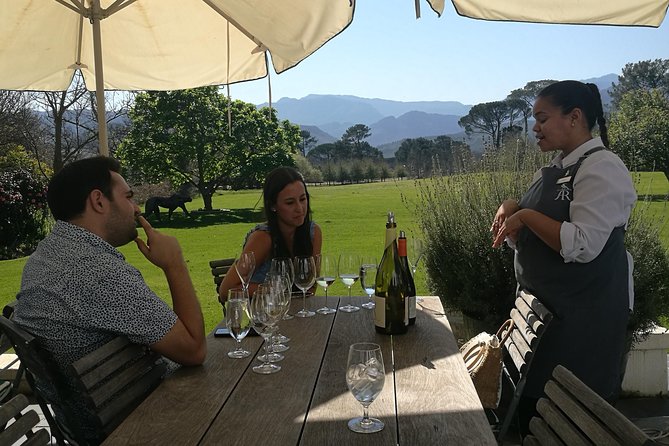 Private Wine Tour of Stellenbosch, Franschhoek and Paarl - What the three premium tastings include