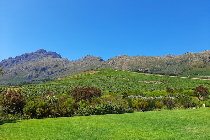 Private Wine Tour of Stellenbosch, Franschhoek and Paarl - Timing, pickup and planning the route