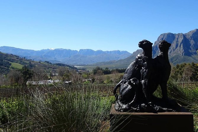 Private Wine Tour with Wine Expert to Stellenbosch-Franschhoek Wine Regions - Why a private Winelands day makes sense