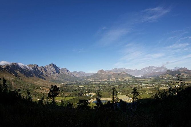 Private Wine Tour with Wine Expert to Stellenbosch-Franschhoek Wine Regions - What the tastings are actually like