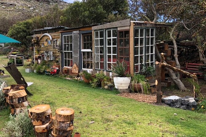 Revel in the Cape Peninsula (Penguins & Cape of Good Hope) - Guides, snacks, and the small-group feel