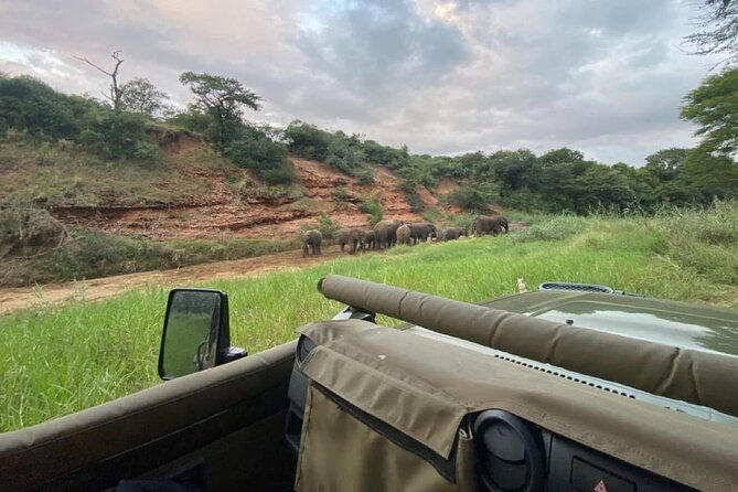 Richards Bay: Big 5 Luxury Safari at Manyoni Private Game Reserve - The 7:00 am start from Richards Bay