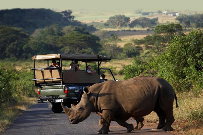 Richards Bay Shore Excursion: Private Small Group Hluhluwe Safari - Key points at a glance
