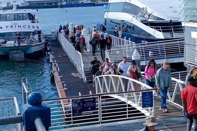 Robben Island and Table Mountain Pre Booked Tickets - Table Mountain: Cape Town From Above