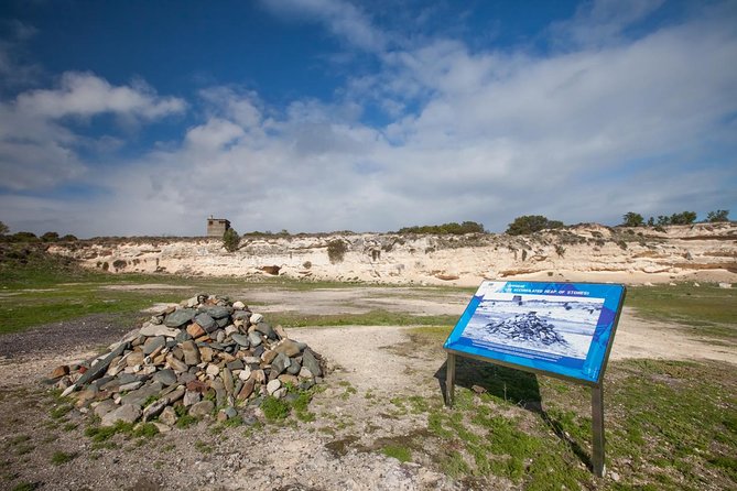 Robben Island & City stops.We confirm tickets by 8h00 am next day - Food, group size, and the pace of the day