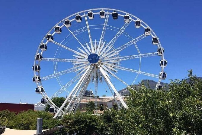 Robben Island Guided Tour & Two Ocean Aquarium with tickets - Sharks, penguins, and jellyfish at Two Oceans Aquarium