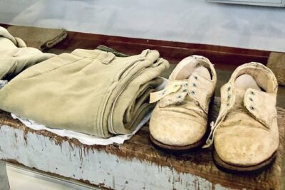 Robben Island Half Day Tour with Pre-Booked Ticket(s)