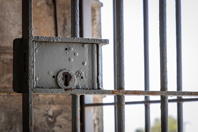 Robben Island Half Day Tour with Pre-Booked Ticket(s) - Free time at Murray’s Bay Harbour