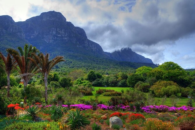 Robben Island ,Kirstenbosch Gardens and Groot Constantia. - Timing, pickup, and the parts that need care