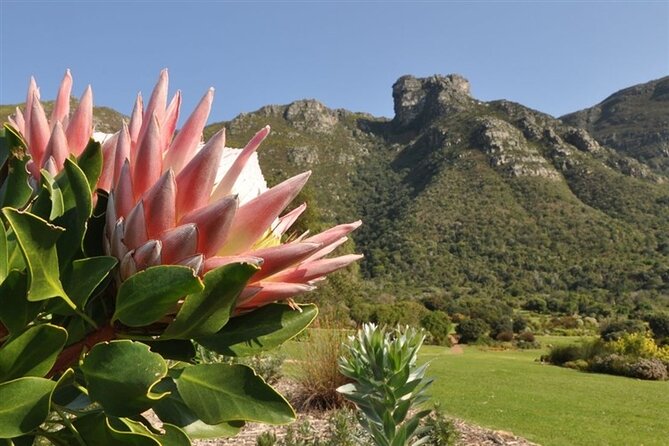 Robben Island ,Kirstenbosch Gardens and Groot Constantia. - Who will get the most from this Cape Town day