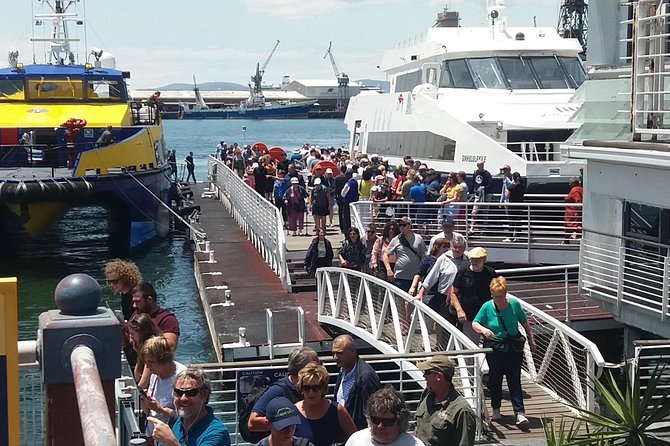 Robben Island Nelson Mandela's Prison Museum and Table Mountain Plus All Tickets - The V&A Waterfront start and the practical morning
