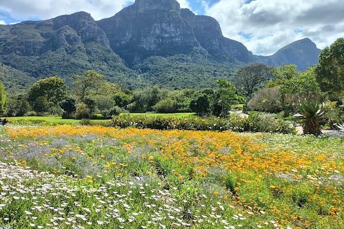 Robben Island, Table Mountain and kirstenbosch from Cape Town - Table Mountain needs advance planning