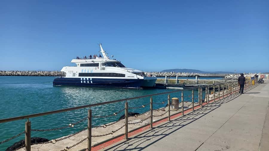 Robben Island,Table Mountain Full day Private Tour Cape Town - The 30-minute diamond visit is optional