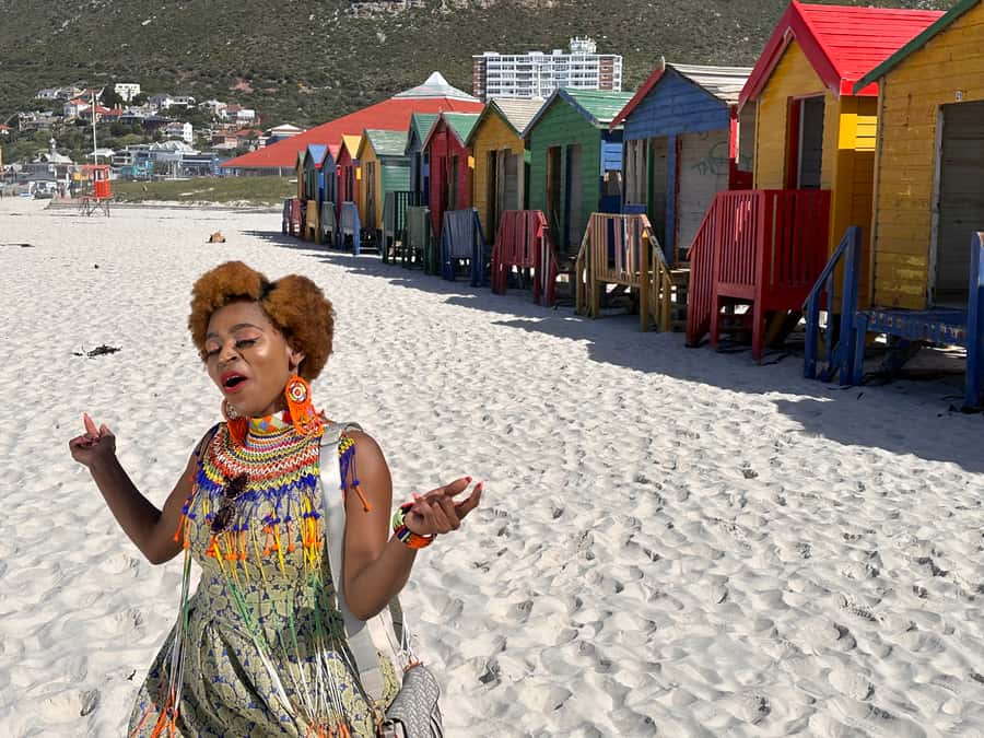 Robben Island Tickets, Penguins, and Private Cape Point Tour - What the private vehicle changes