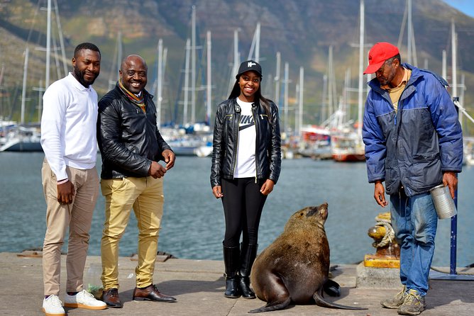 Robben Island Tickets, Penguins & Cape of Good Hope Private Tour - What the private guide adds