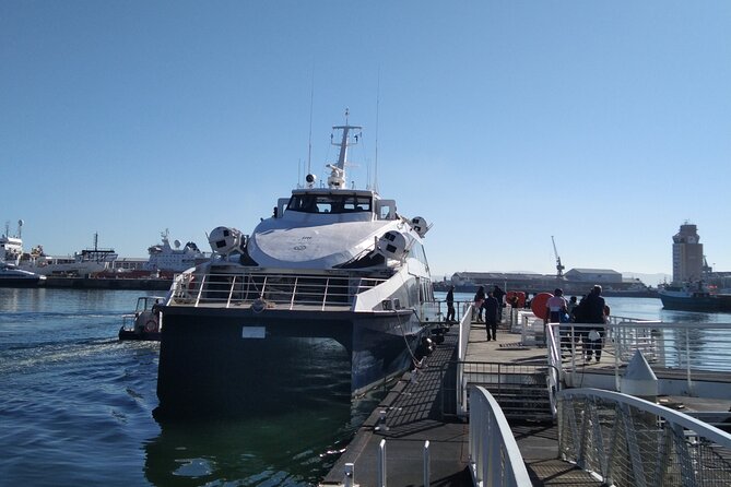 Robben Island Tour including Pick Up & Drop Off from Cape Town - How much time should you set aside?