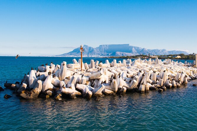 Robben Island Tour; Pickup, Drop-off; Guided Tour Historic Prison - Why Robben Island Matters Beyond Nelson Mandela