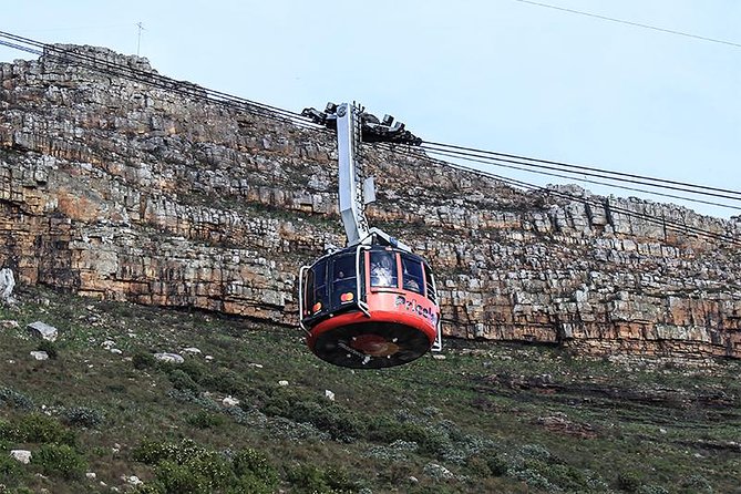 Robben Island Tour & Table Mountain guided Tour - Who will get the most from this tour