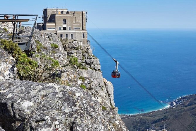 Robben Island with Tickets & Iconic Table Mountain Full Day Tour - The guide and transport shape the experience