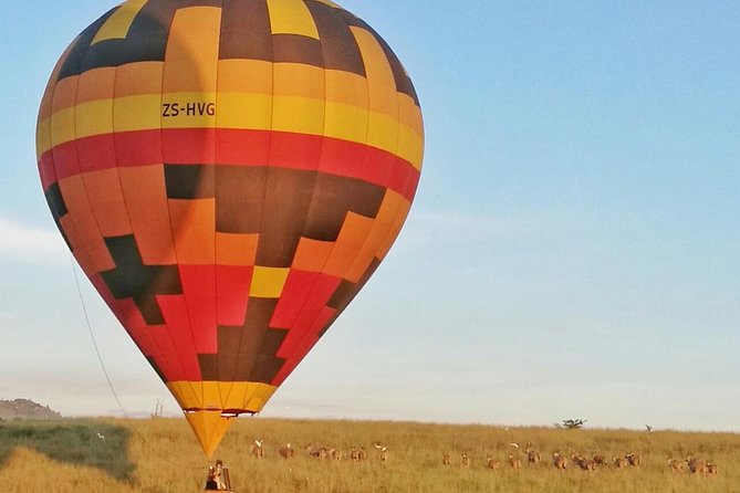Safari Flight - Key points to know before booking