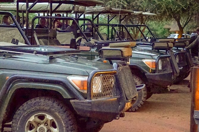 Safari Game Drive: Dinokeng Game Reserve - Why Dinokeng Works for a Short Pretoria Safari