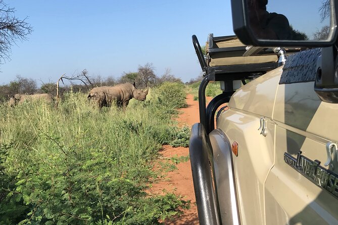 Safari Game Drive: Dinokeng Game Reserve - What the 2.5-Hour Open 4x4 Drive Feels Like