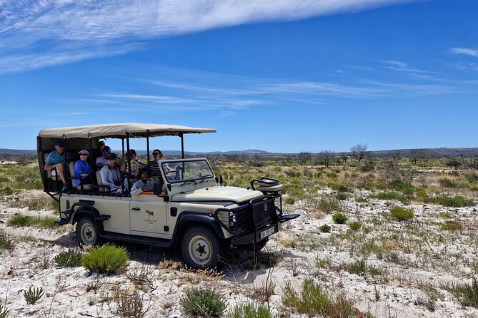 Safari Game Drive - Yzerfontein - What kind of safari is this?