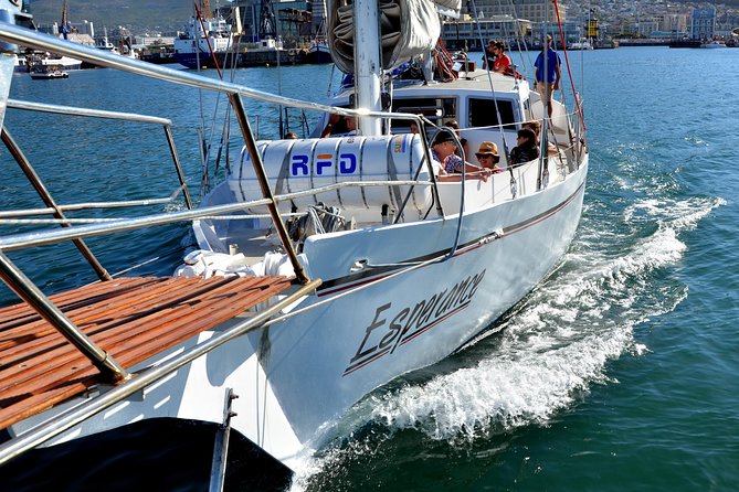 Sailing in The Bay by Catamaran (One Hour) - Is $21.28 good value?