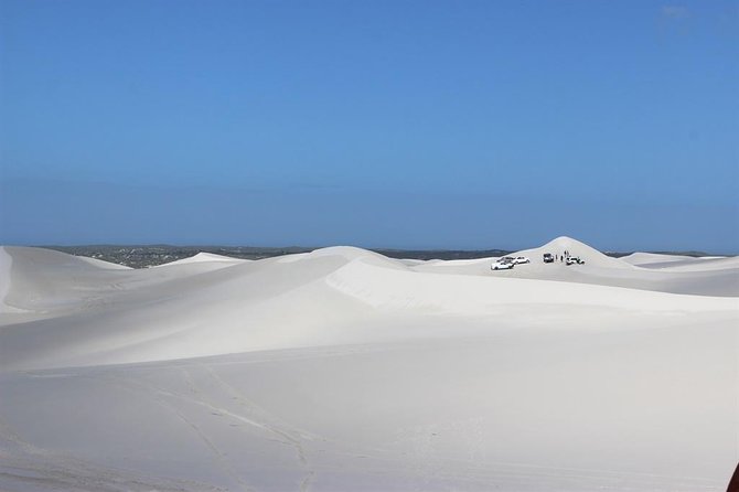 Sandboarding and Quad Biking Combo from Cape Town - Why the two-activity format offers good value