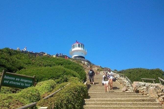 Scheduled Guided Tour to Table Mountain and Cape of Good Hope - Table Mountain delivers the days biggest view