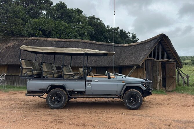 Schotia Game Reserve Tour with Port Pickup, Next to Addo Park - Entering Schotia in an open safari vehicle