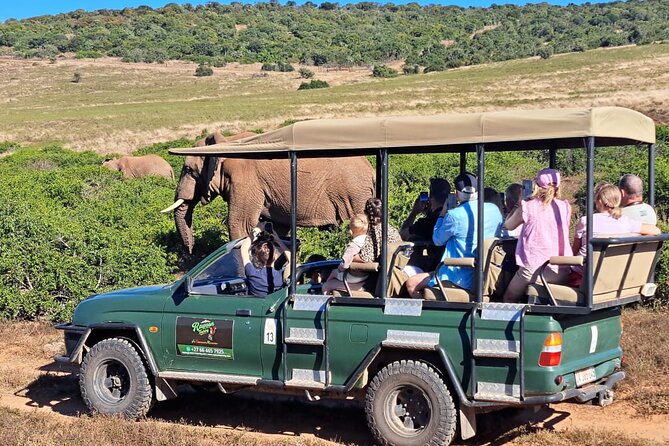 Schotia Private Game African Safari Guided Tour - How the price compares with the experience