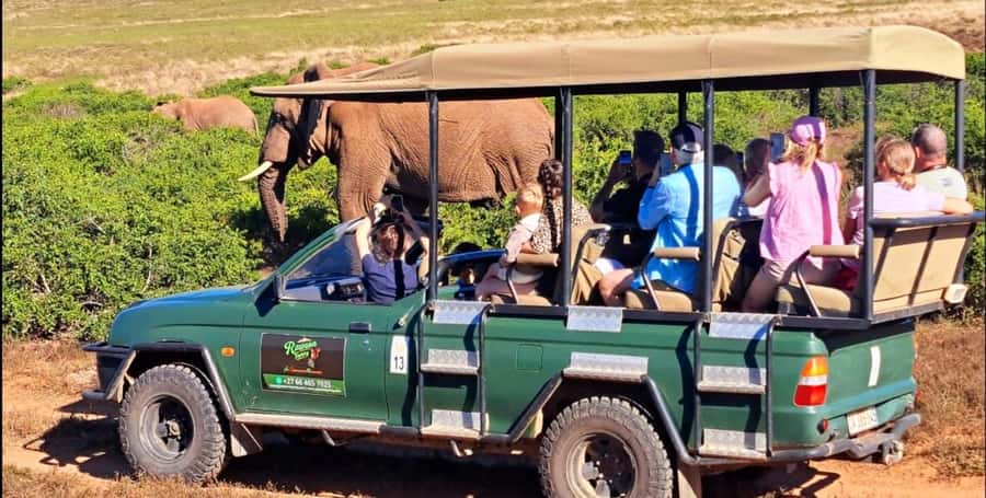 Schotia Safaris: Best Wildlife Encounters in Port Elizabeth - Schotia and the Addo question