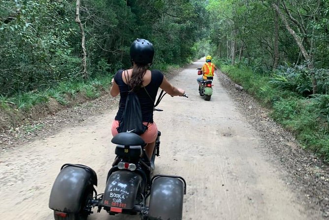 Scooter Tours through Tsitsikamma National Park - Riding into Tsitsikamma’s forest