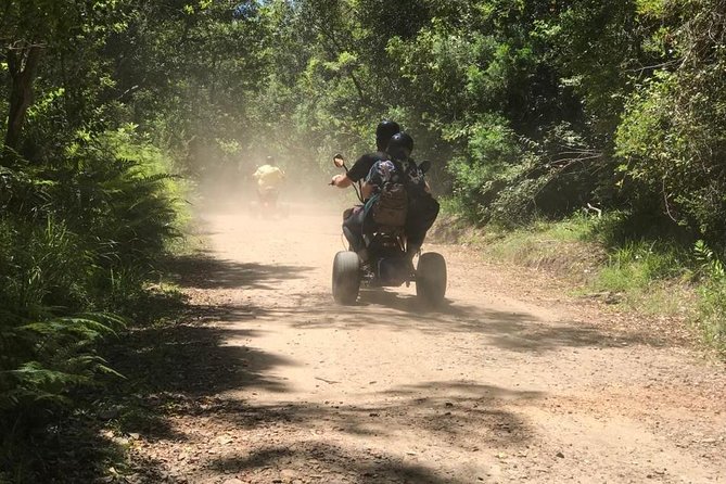 Scooter Tours through Tsitsikamma National Park - What to bring and how to plan your time