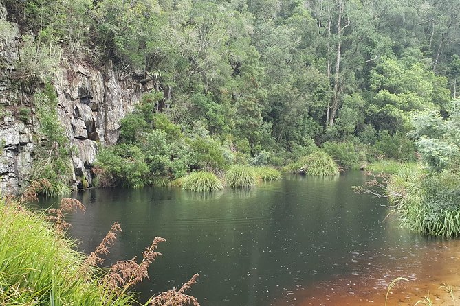 Scooter Tours through Tsitsikamma National Park - Is $54.64 a fair price?